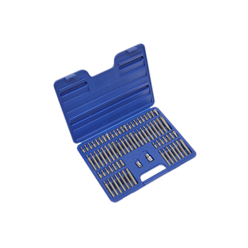 TRUSA DE CHEI BIT-URI HEXAGON/TORX/XZN/RIBE 3/8`&1/2`.74 PIESE - SEALEY