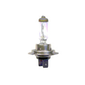 BEC FAR H7 24V 70W PX26D SCT