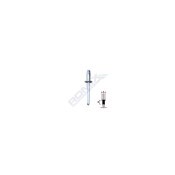 POPNIT ZINCAT FIAT RENAULT FORD 4.8MM SET 10 BUC