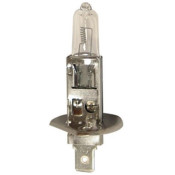 BEC INCANDESCENT H1 STARLINE 